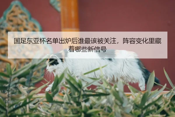 guo-zu-dong-ya-bei-ming-dan-chu-lu-hou-shui-zui-gai-bei-guan-zhu-zhen-rong-bian-hua-li-cang-zhe-na-xie-xin-xin-hao-2-775.jpg